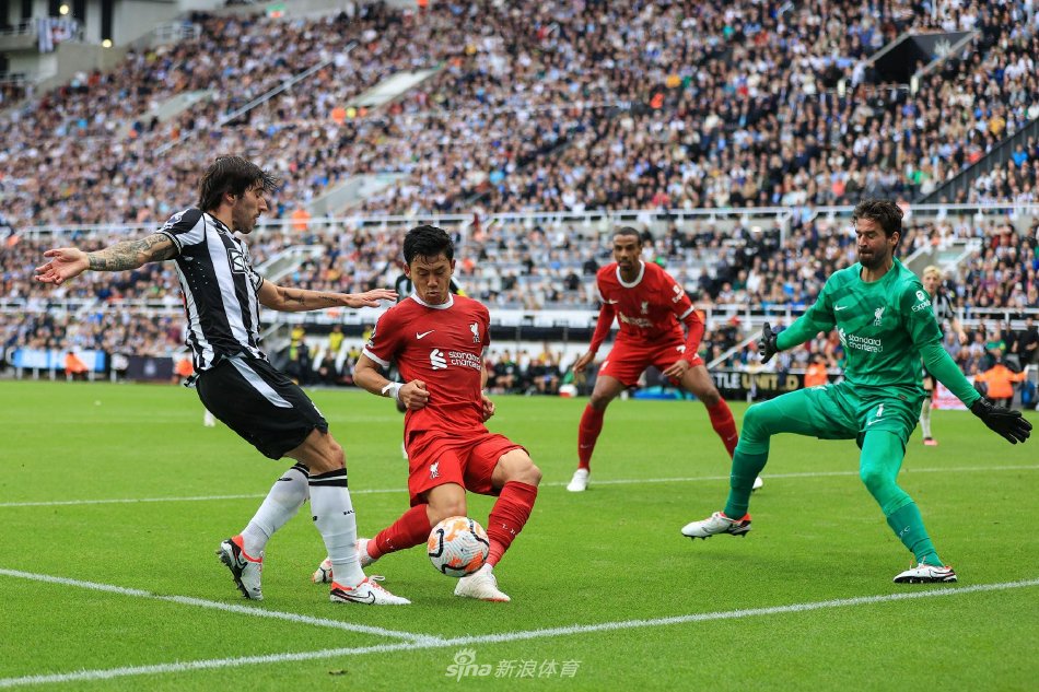 的出色表现 的出色表现